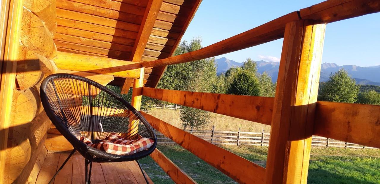Musketeers Cabin Porumbacu de Sus Zewnętrze zdjęcie