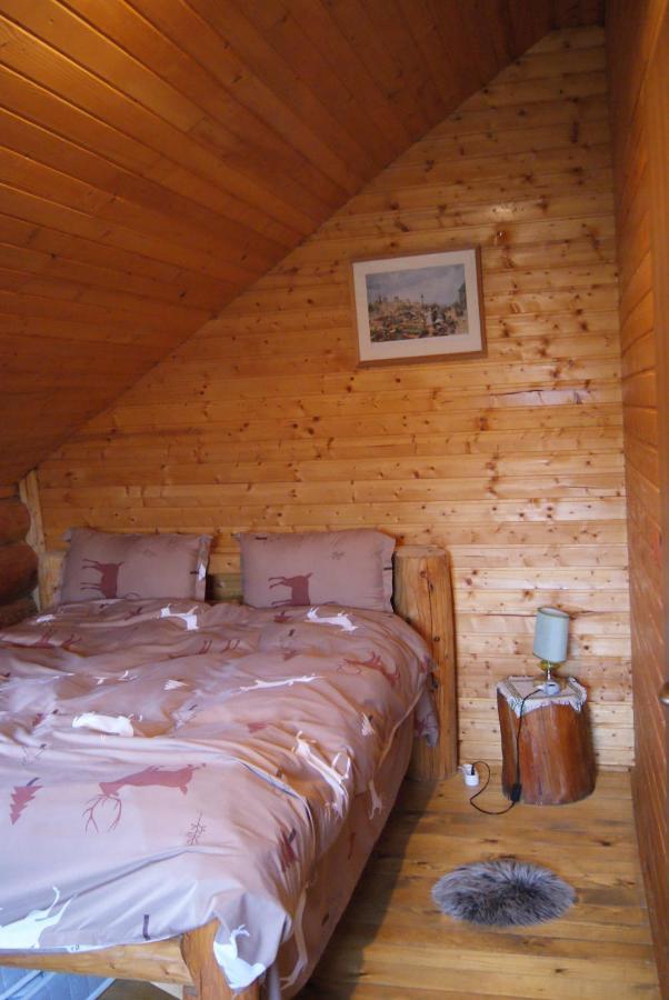 Musketeers Cabin Porumbacu de Sus Zewnętrze zdjęcie