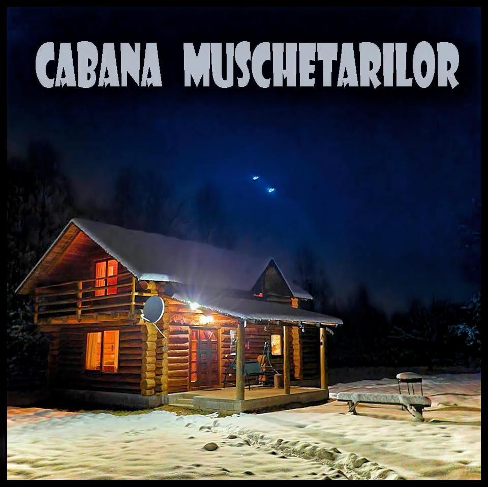 Musketeers Cabin Porumbacu de Sus Zewnętrze zdjęcie