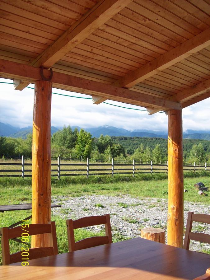 Musketeers Cabin Porumbacu de Sus Zewnętrze zdjęcie