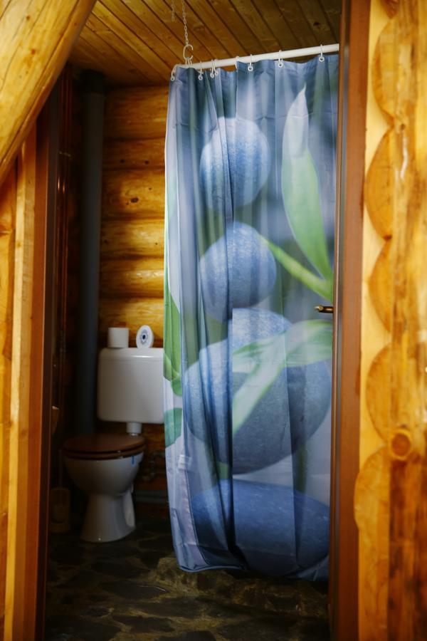 Musketeers Cabin Porumbacu de Sus Zewnętrze zdjęcie
