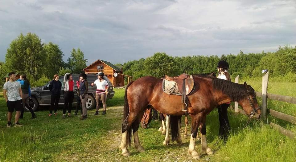 Musketeers Cabin Porumbacu de Sus Zewnętrze zdjęcie